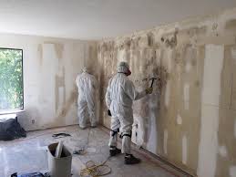 Best Mold Prevention Services  in Sparta, IL